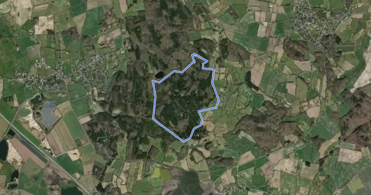 Маршрут Wanderroute 4: Reh, Brekendorfer Forst на спутниковом снимке