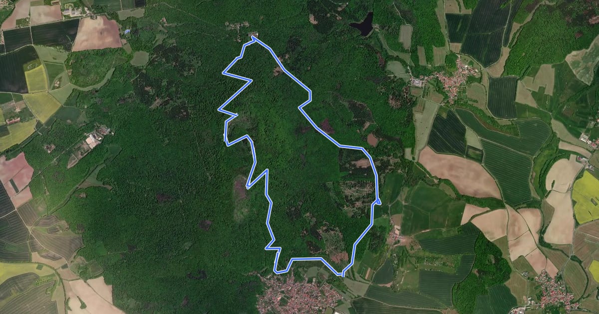Маршрут Wanderroute II im Gleichberggebiet на спутниковом снимке