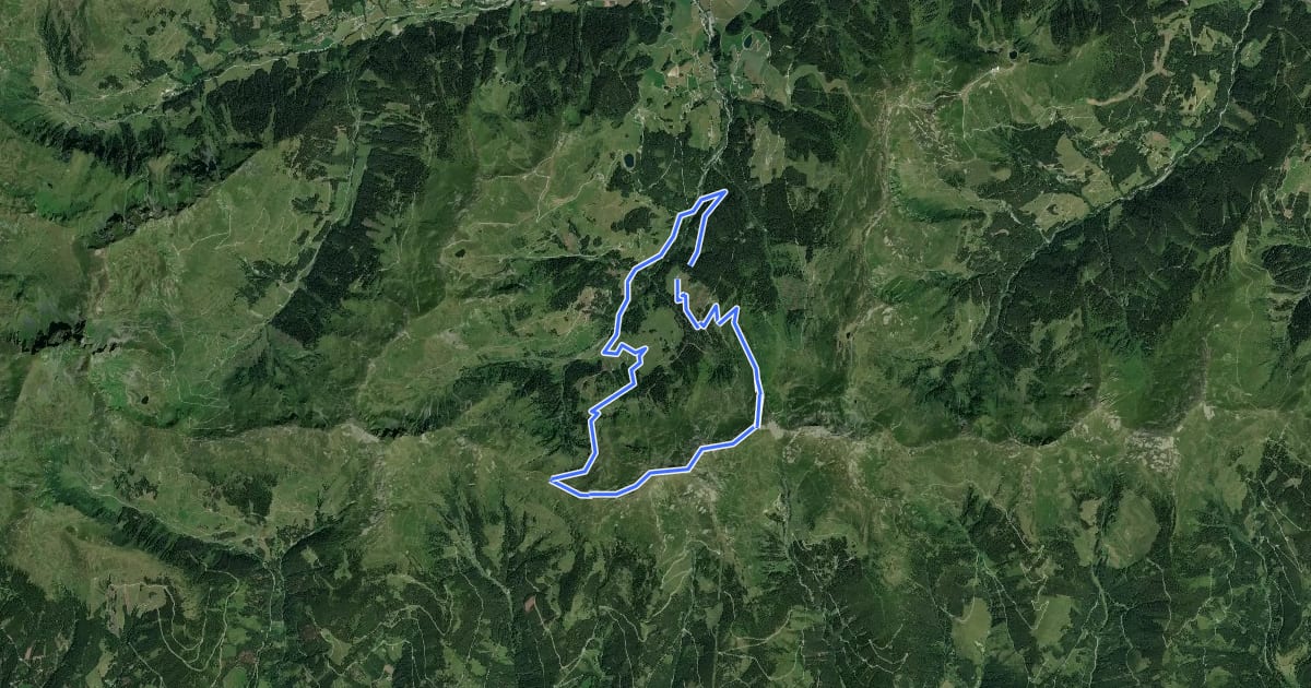 Маршрут Wandertour Bärensteigkogel на спутниковом снимке