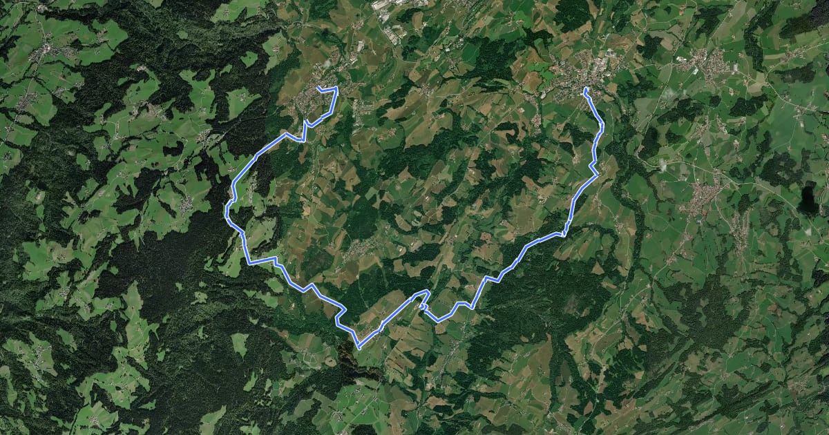 Маршрут Wandertrilogie Etappe 38 Weiler-Scheidegg на спутниковом снимке