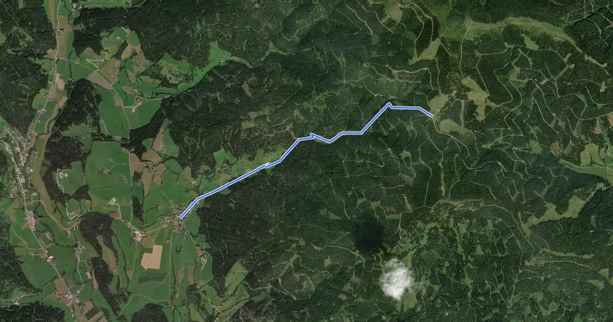 Маршрут Wanderweg 02 на спутниковом снимке