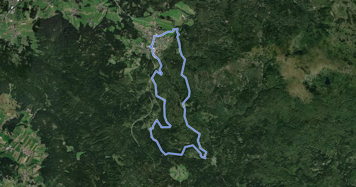 Маршрут Wanderweg 1 на спутниковом снимке