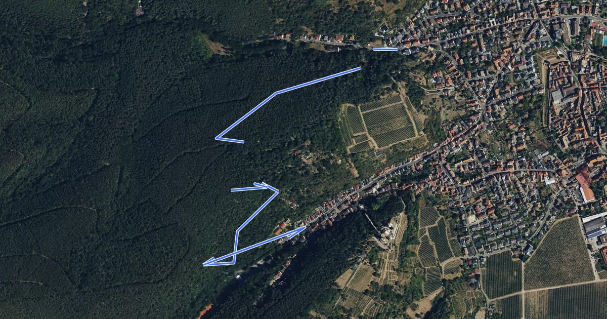Маршрут Wanderweg 1 на спутниковом снимке