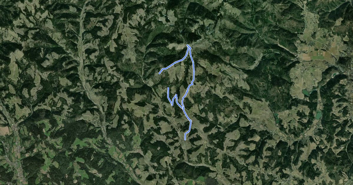 Маршрут Wanderweg 1 на спутниковом снимке