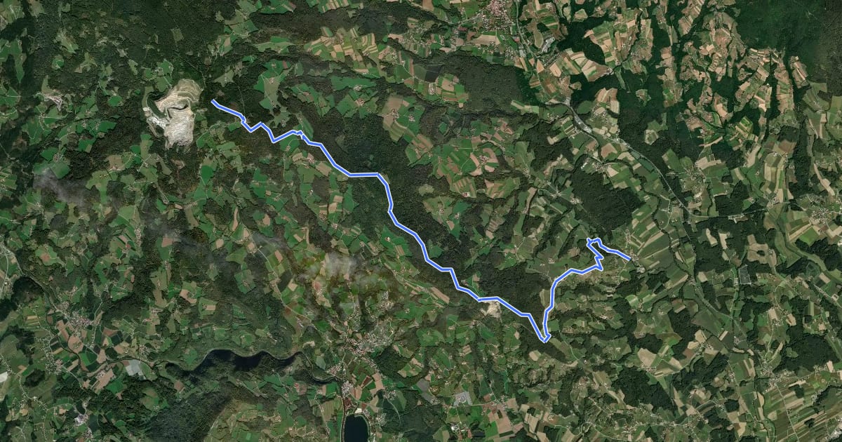 Маршрут Wanderweg 1 на спутниковом снимке