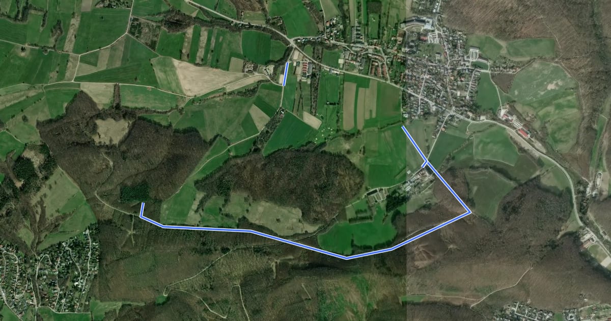 Маршрут Wanderweg 1 (Laab im Walde) на спутниковом снимке