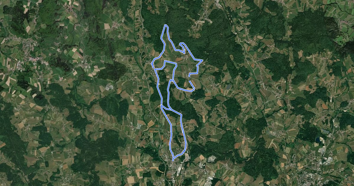 Маршрут Wanderweg 1 Röhrnbach на спутниковом снимке