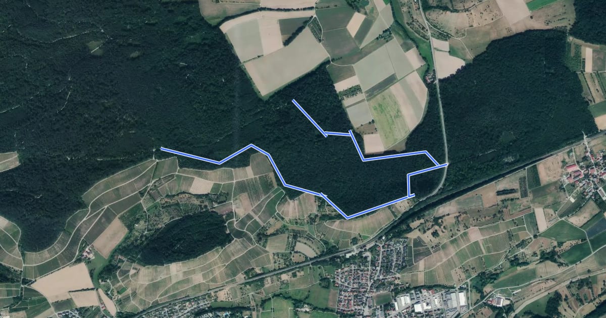Маршрут Wanderweg 1 Sperbelhau на спутниковом снимке