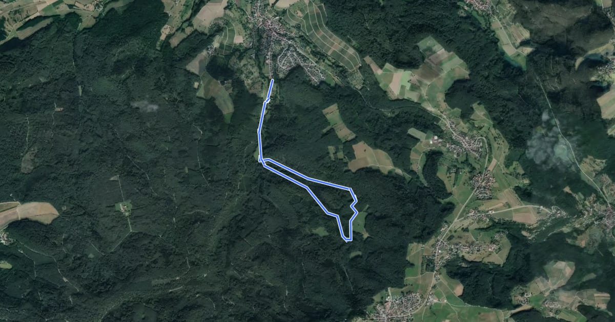 Маршрут Wanderweg 1 Sportanlagen на спутниковом снимке