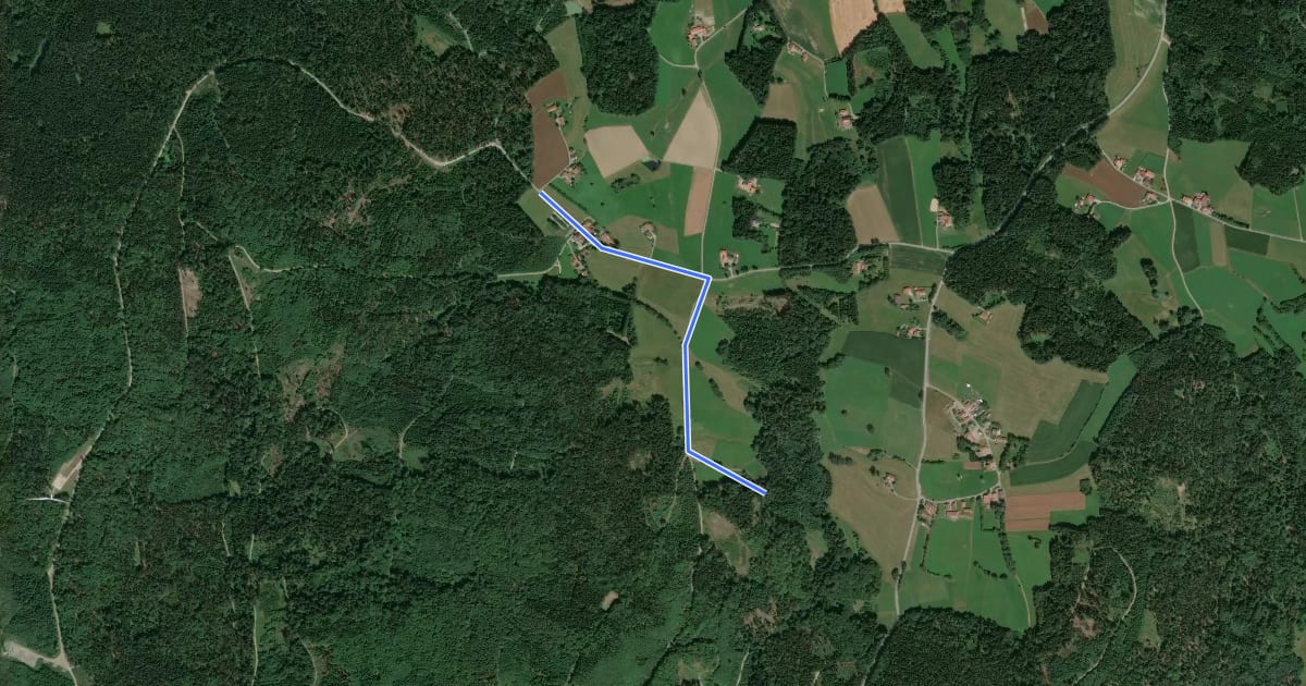 Маршрут Wanderweg 1: Zinzenzell - Schiederhof - Saulburg - Münster на спутниковом снимке