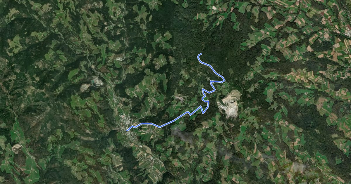 Маршрут Wanderweg 10 на спутниковом снимке