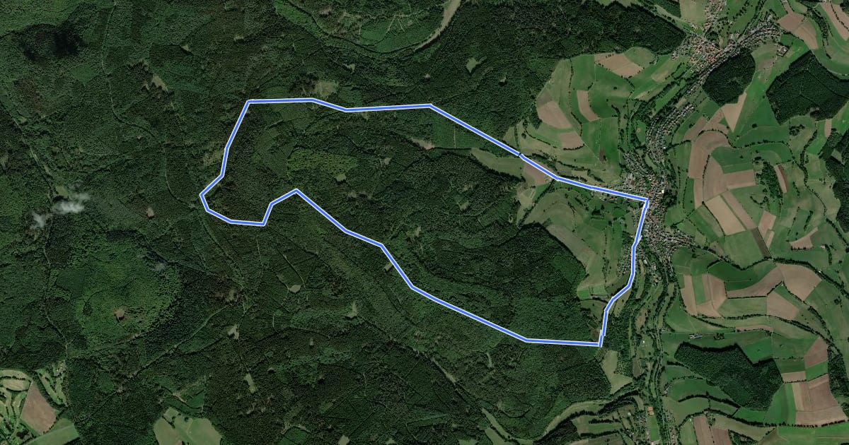 Маршрут Wanderweg 10 на спутниковом снимке