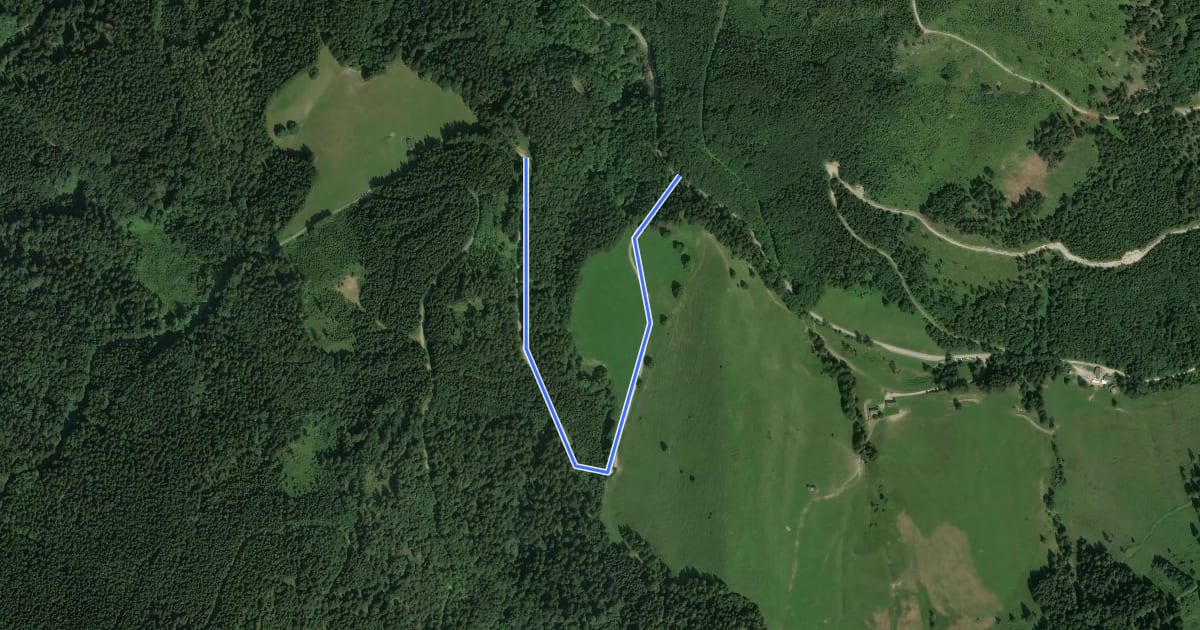 Маршрут Wanderweg 10 на спутниковом снимке