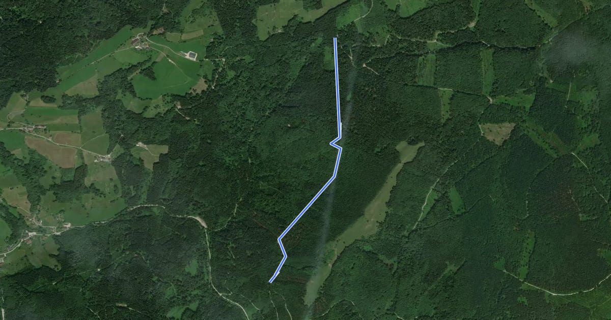 Маршрут Wanderweg 10 на спутниковом снимке