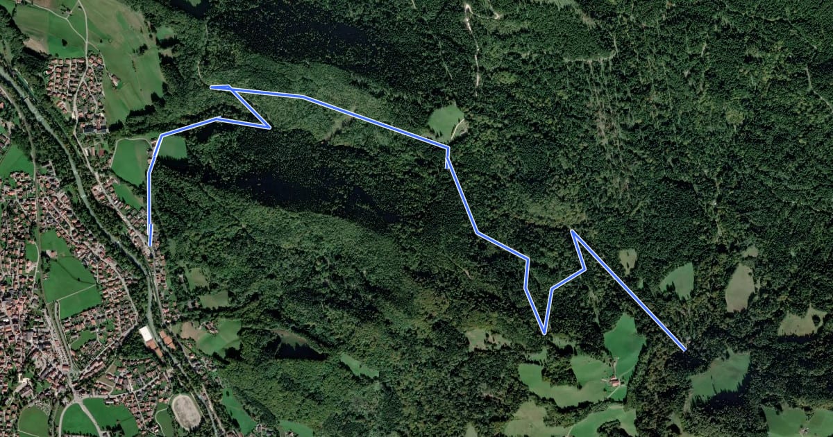 Маршрут Wanderweg 10 на спутниковом снимке