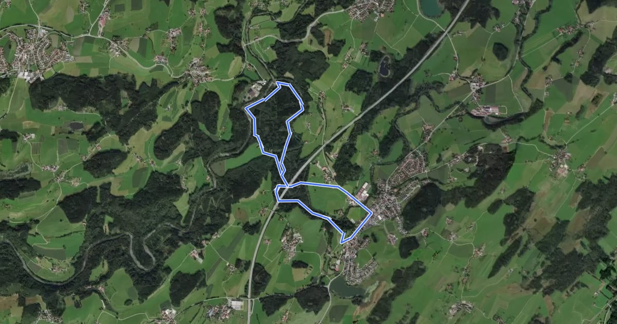 Маршрут Wanderweg 10 Wangen im Allgäu на спутниковом снимке