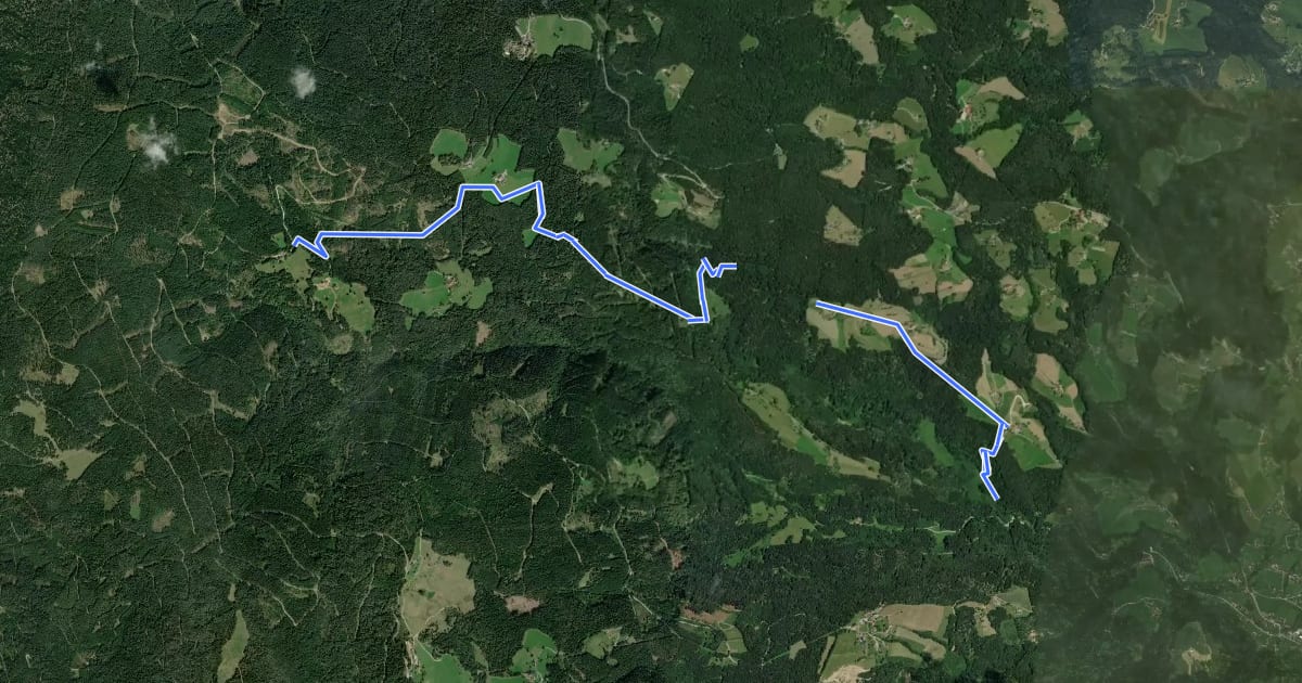 Маршрут Wanderweg 10g на спутниковом снимке