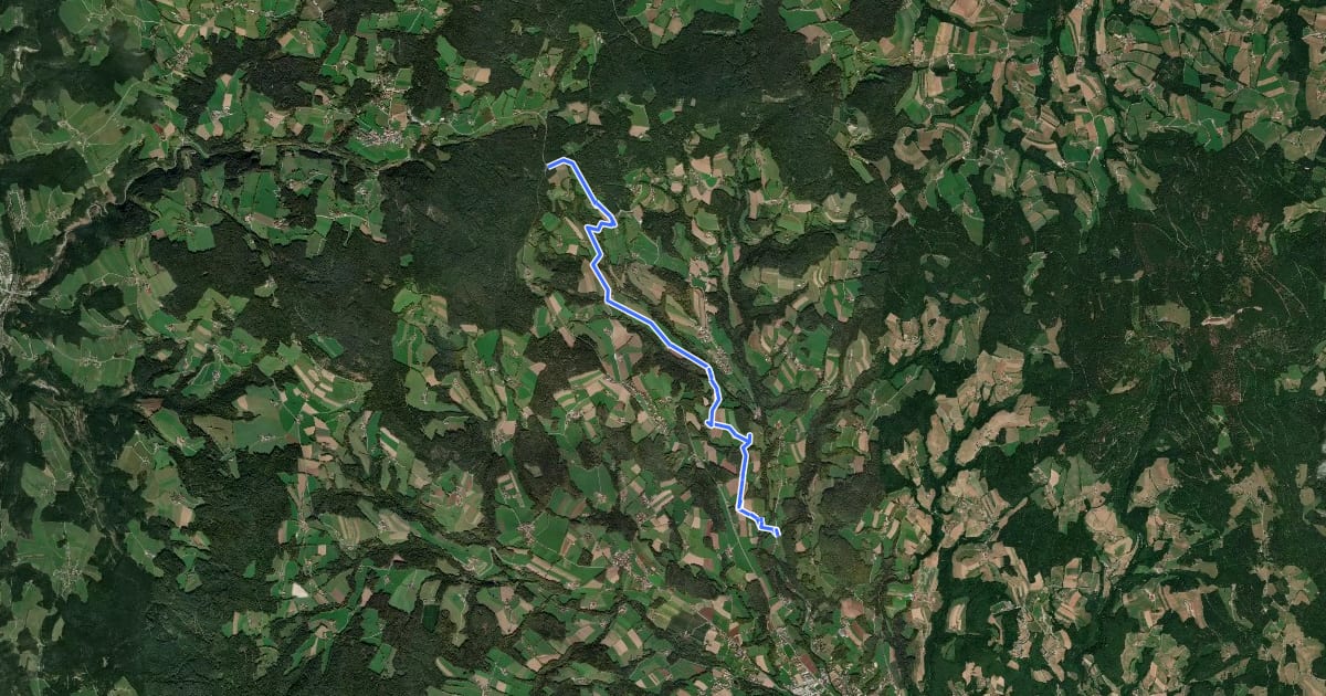Маршрут Wanderweg 11 на спутниковом снимке
