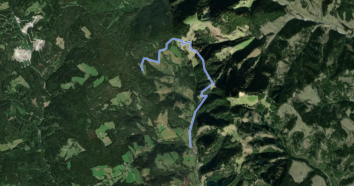 Маршрут Wanderweg 11 на спутниковом снимке