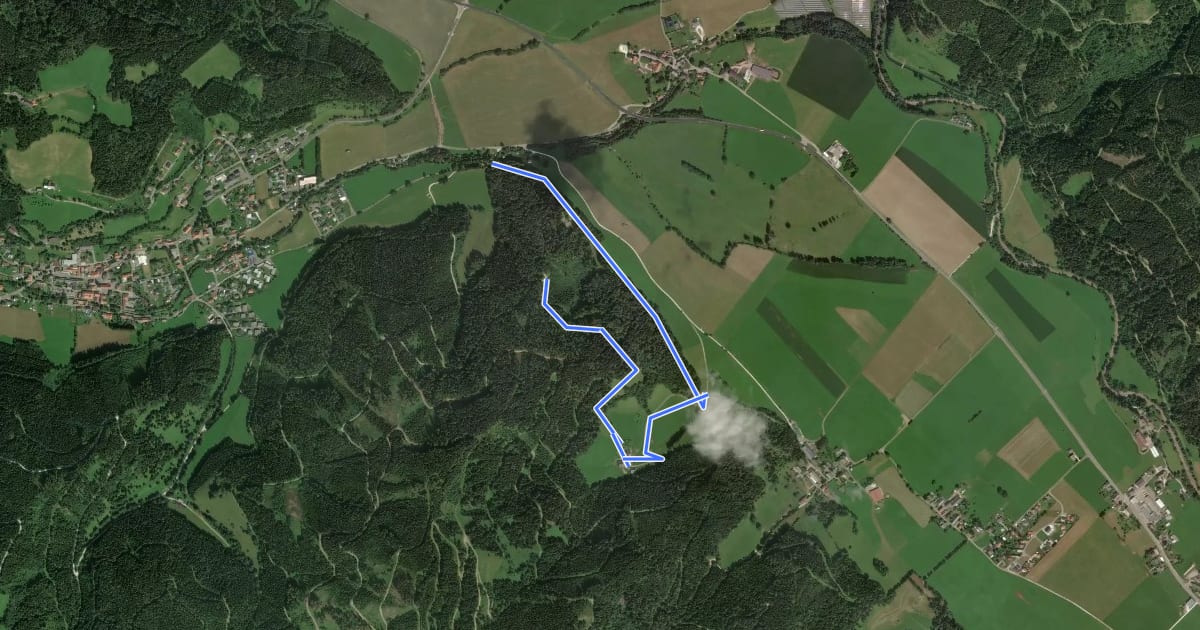Маршрут Wanderweg 11 на спутниковом снимке