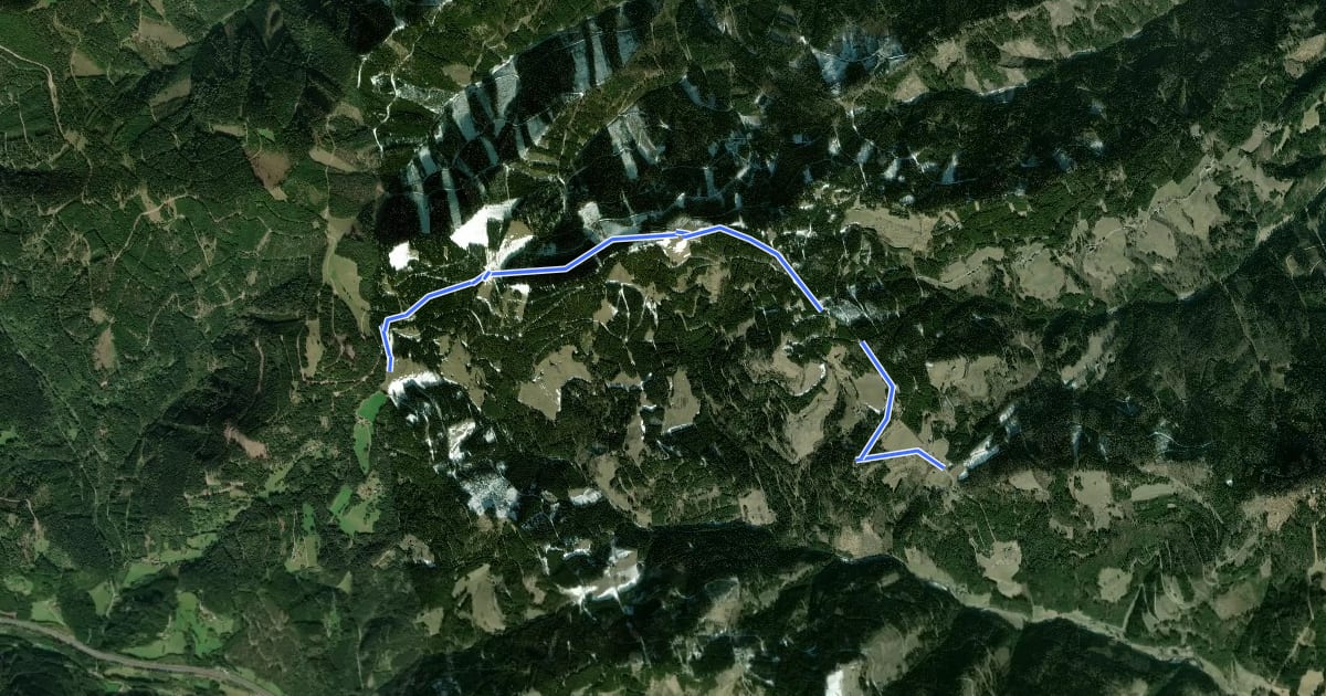 Маршрут Wanderweg 11 на спутниковом снимке