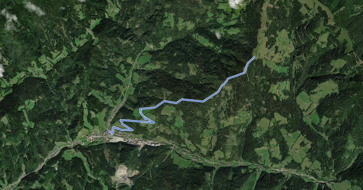 Маршрут Wanderweg 11 на спутниковом снимке