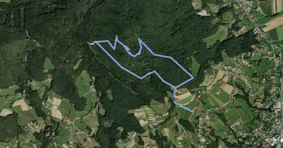 Маршрут Wanderweg 11 на спутниковом снимке
