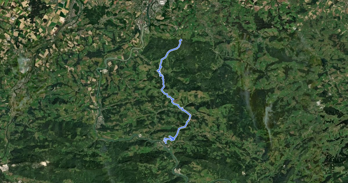 Маршрут Wanderweg 11 на спутниковом снимке