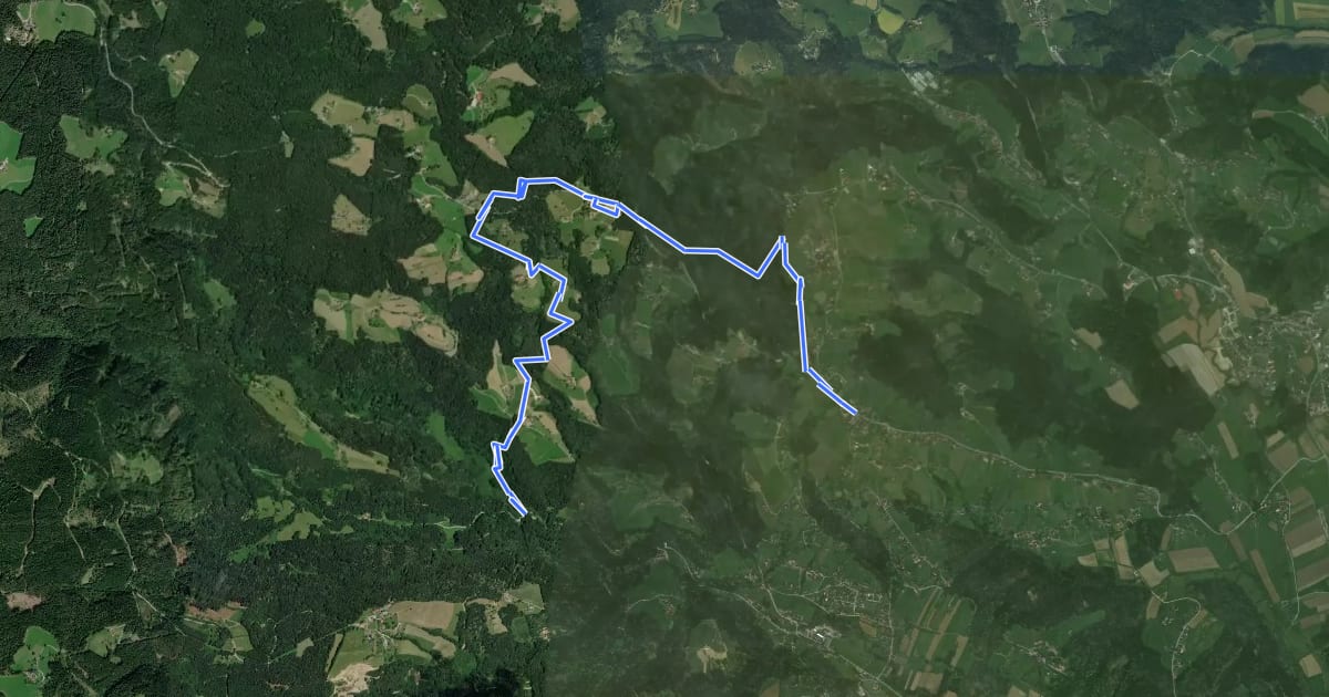 Маршрут Wanderweg 11G на спутниковом снимке