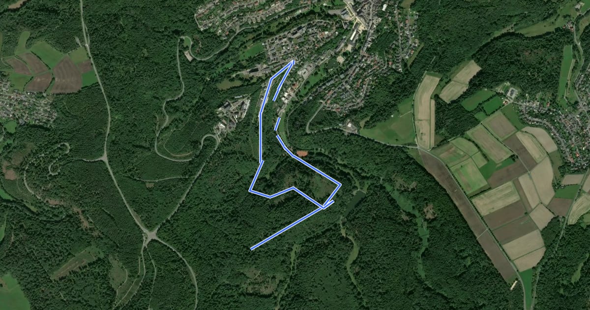 Маршрут Wanderweg 12 на спутниковом снимке
