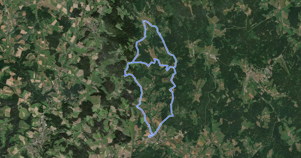 Маршрут Wanderweg 12 на спутниковом снимке