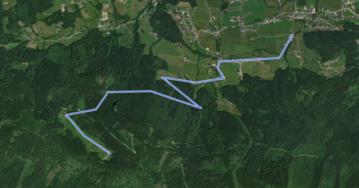 Маршрут Wanderweg 12 на спутниковом снимке