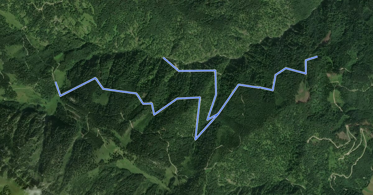 Маршрут Wanderweg 12 на спутниковом снимке
