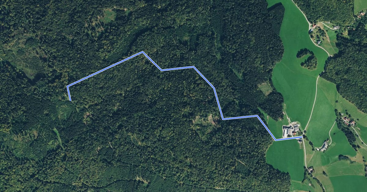 Маршрут Wanderweg 12a на спутниковом снимке