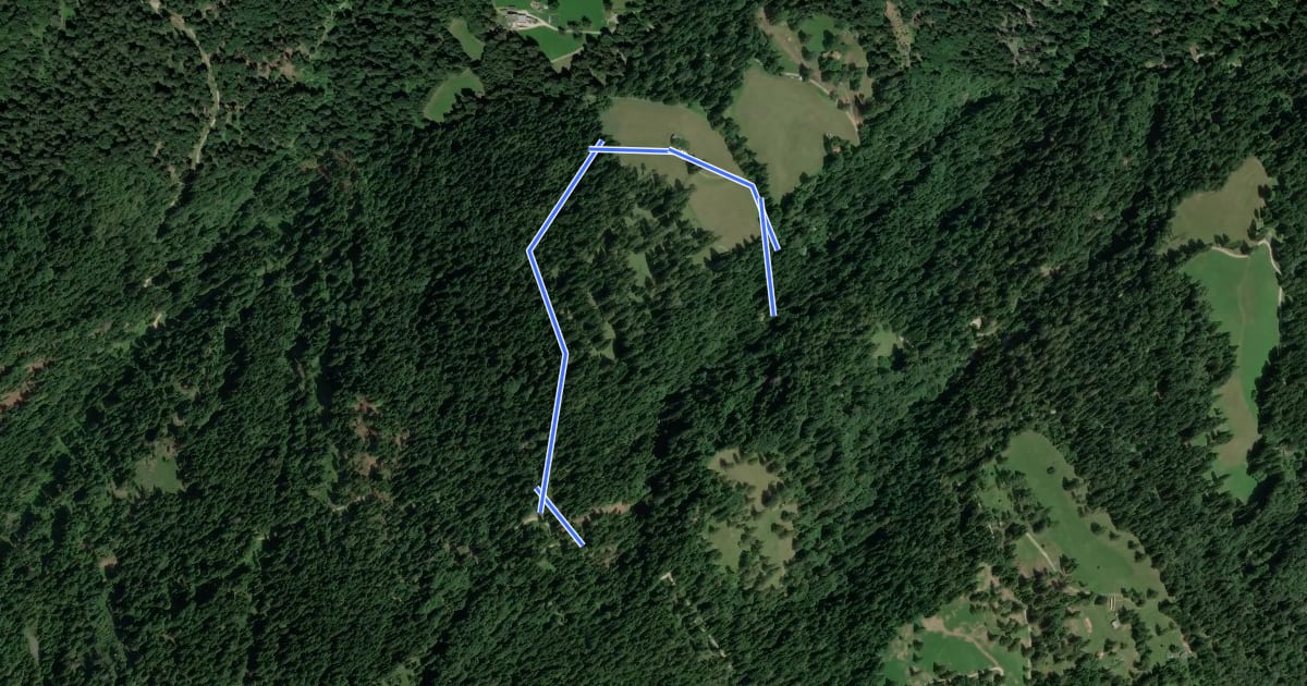 Маршрут Wanderweg 12B на спутниковом снимке