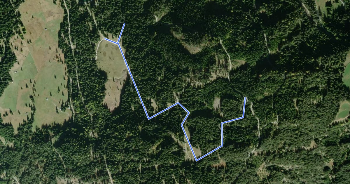 Маршрут Wanderweg 12C на спутниковом снимке