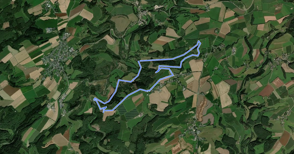 Маршрут Wanderweg 13 Olmscheid Naturpark Südeifel на спутниковом снимке