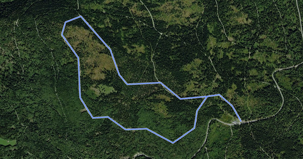 Маршрут Wanderweg 14 на спутниковом снимке