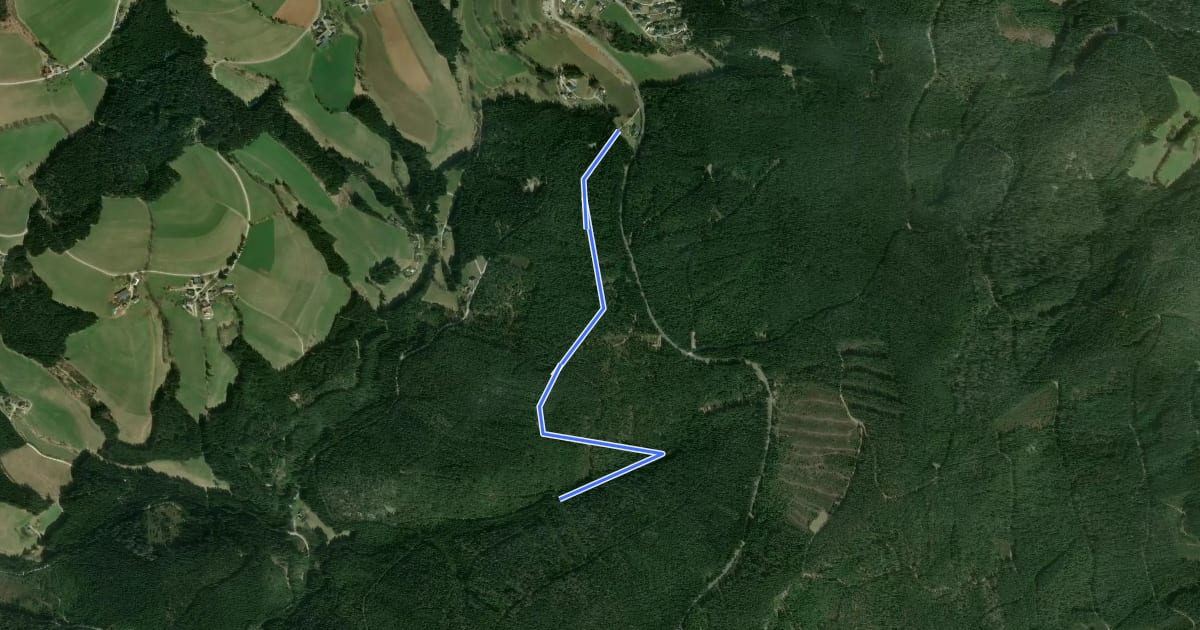 Маршрут Wanderweg 14: Farnkräuterweg на спутниковом снимке