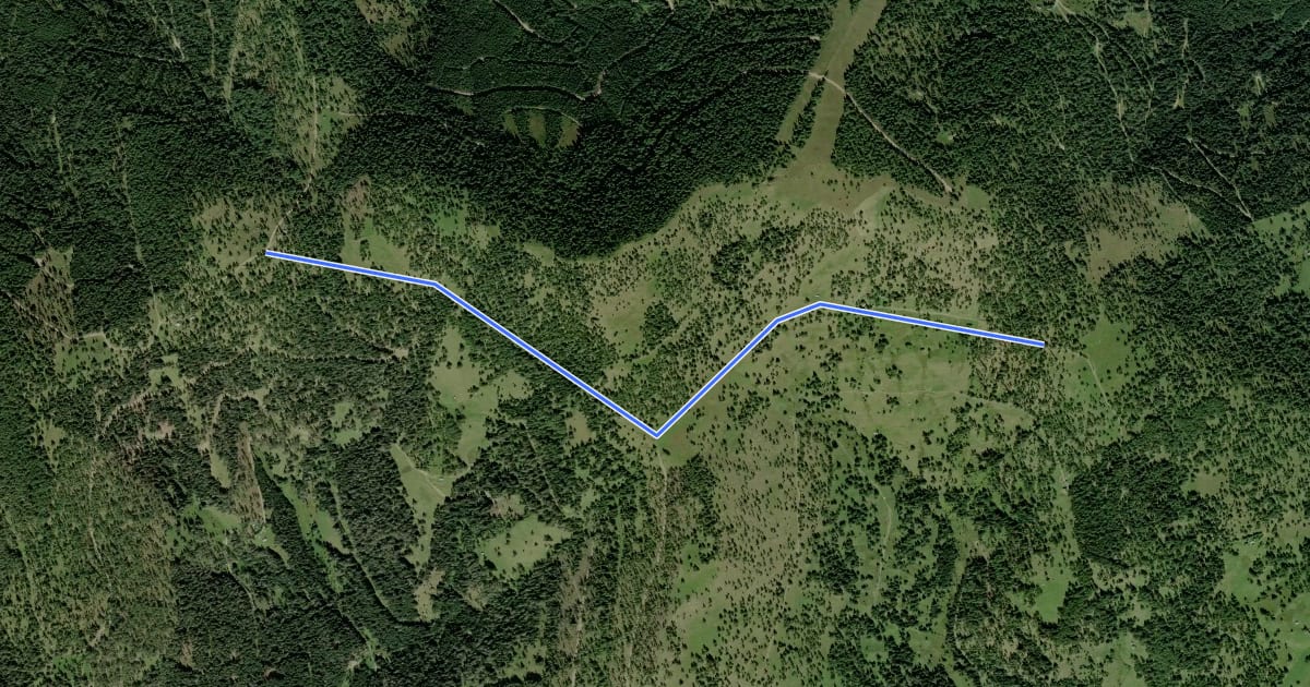 Маршрут Wanderweg 1542 на спутниковом снимке