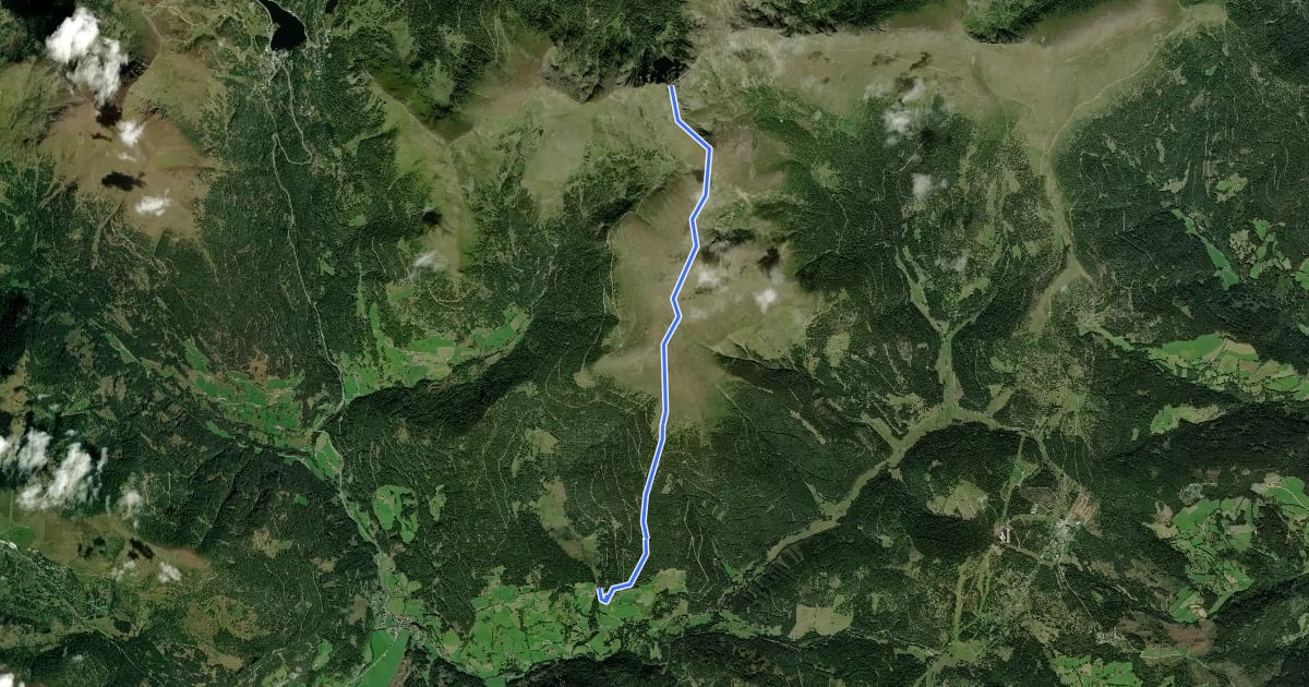 Маршрут Wanderweg 155 на спутниковом снимке