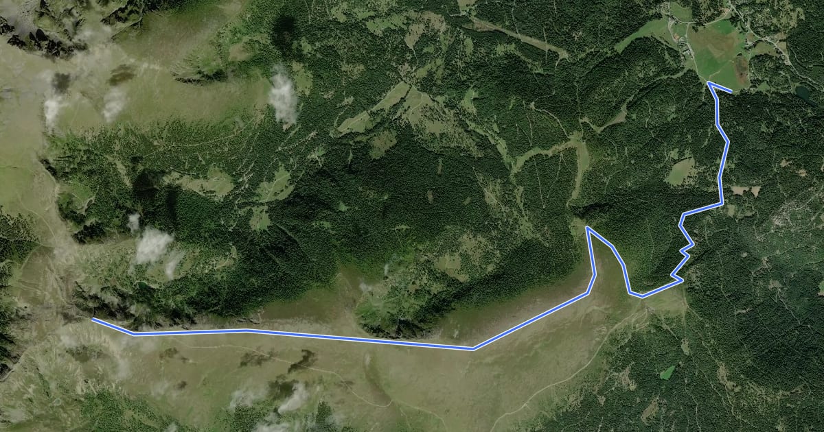 Маршрут Wanderweg 157 на спутниковом снимке