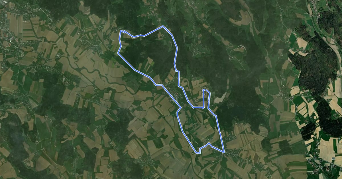 Маршрут Wanderweg 16 на спутниковом снимке