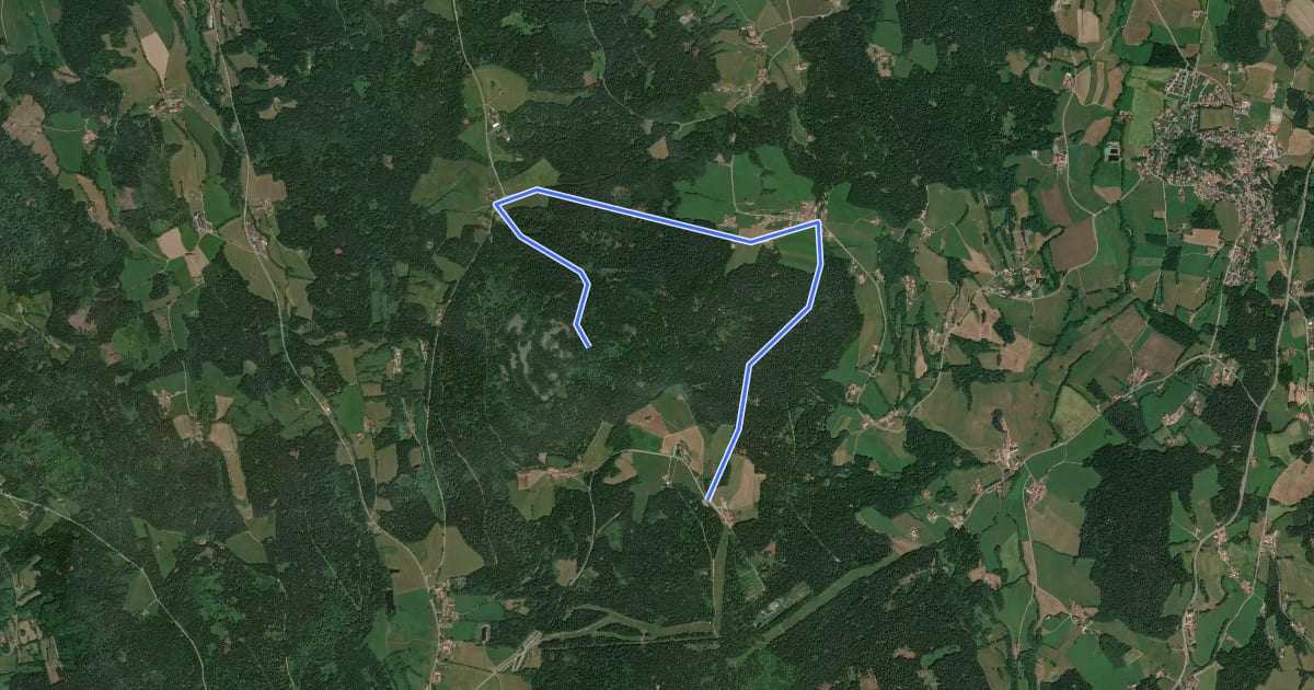 Маршрут Wanderweg 16 на спутниковом снимке