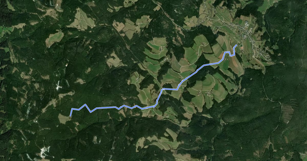 Маршрут Wanderweg 16 на спутниковом снимке