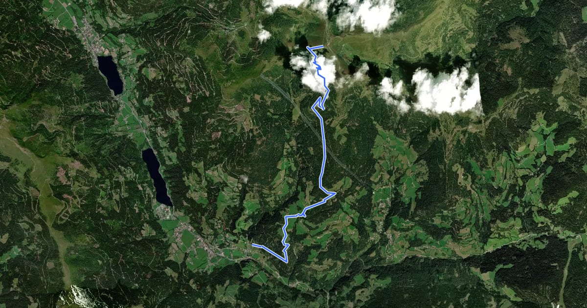 Маршрут Wanderweg 166 на спутниковом снимке