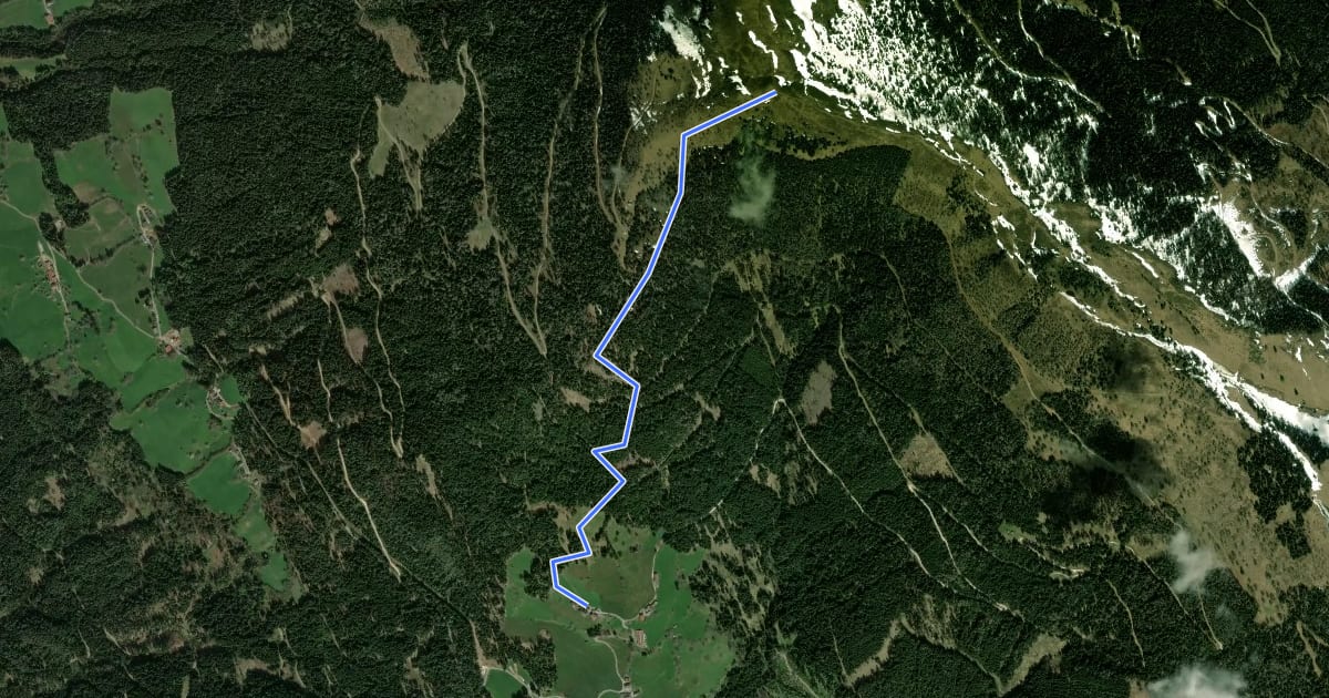 Маршрут Wanderweg 178-1 Amberg - Palnock на спутниковом снимке