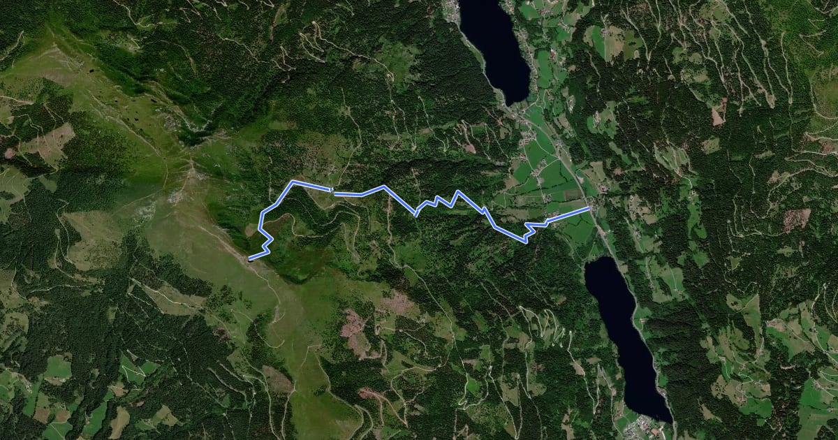 Маршрут Wanderweg 183 (Wieser Hütte - Mirnock) на спутниковом снимке