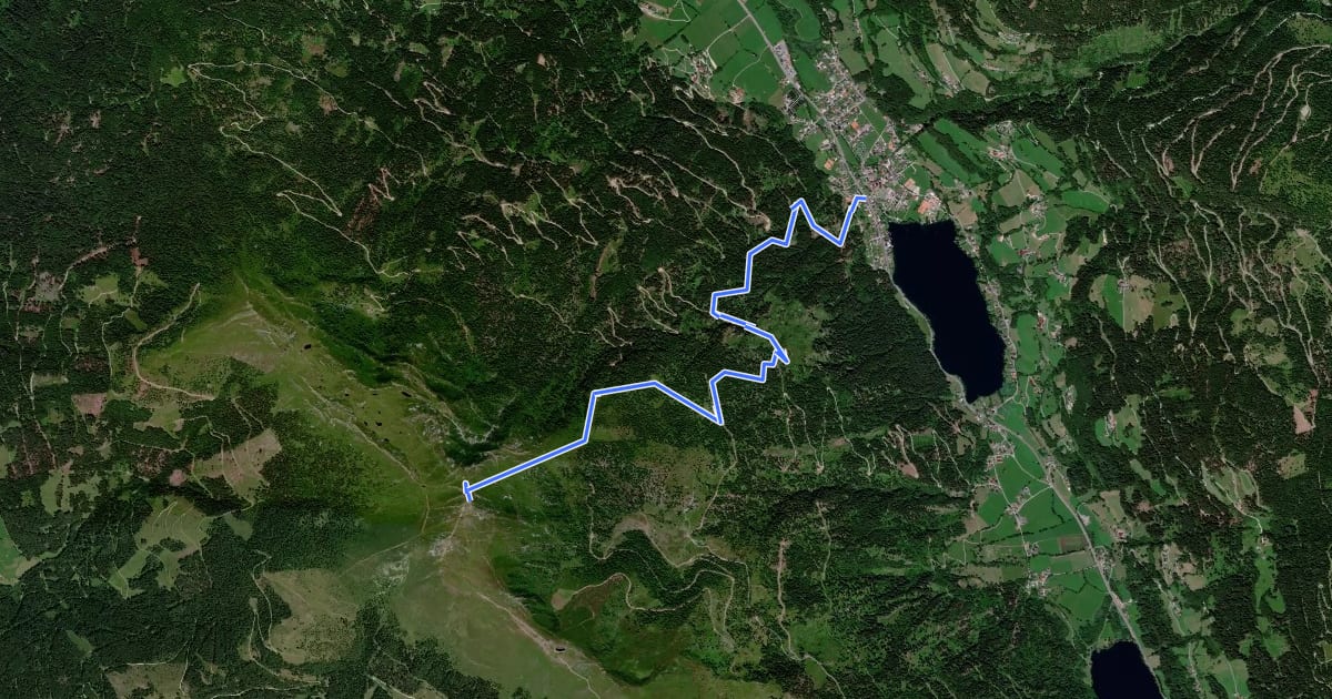 Маршрут Wanderweg 184 (Feld am See - Mirnock) на спутниковом снимке