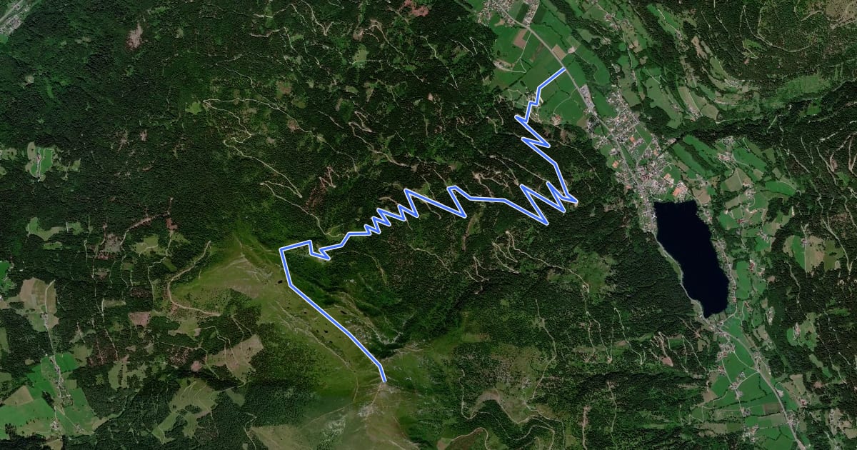 Маршрут Wanderweg 185 на спутниковом снимке